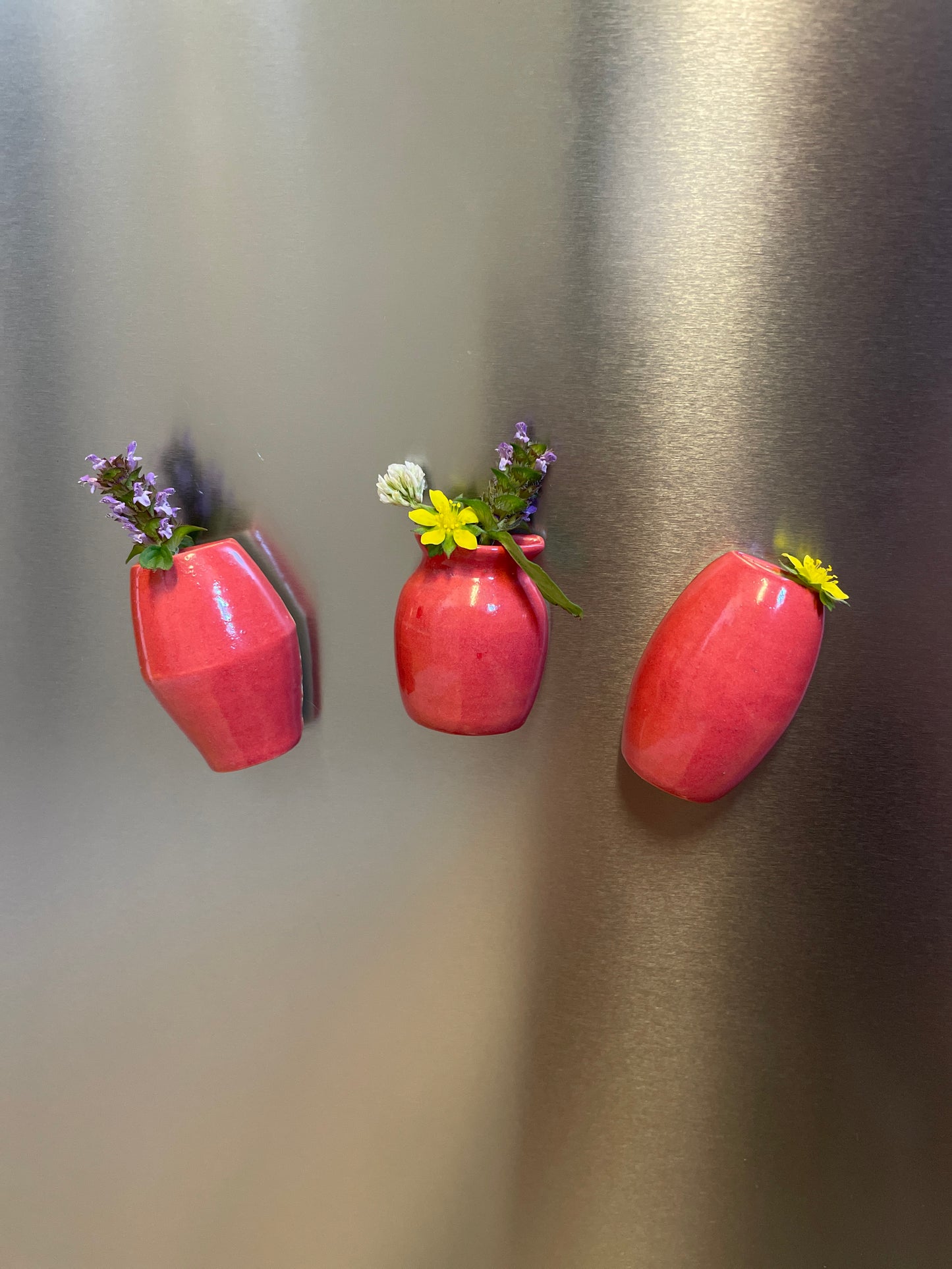 Raspberry Half Vase Magnet