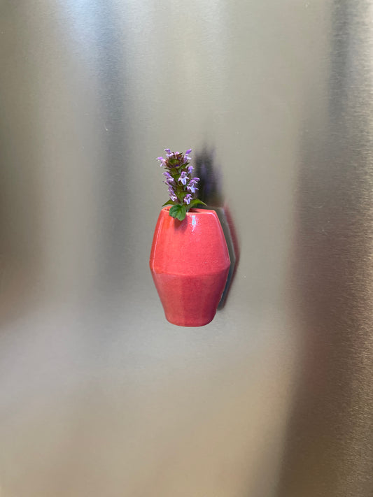 Raspberry Half Vase Magnet