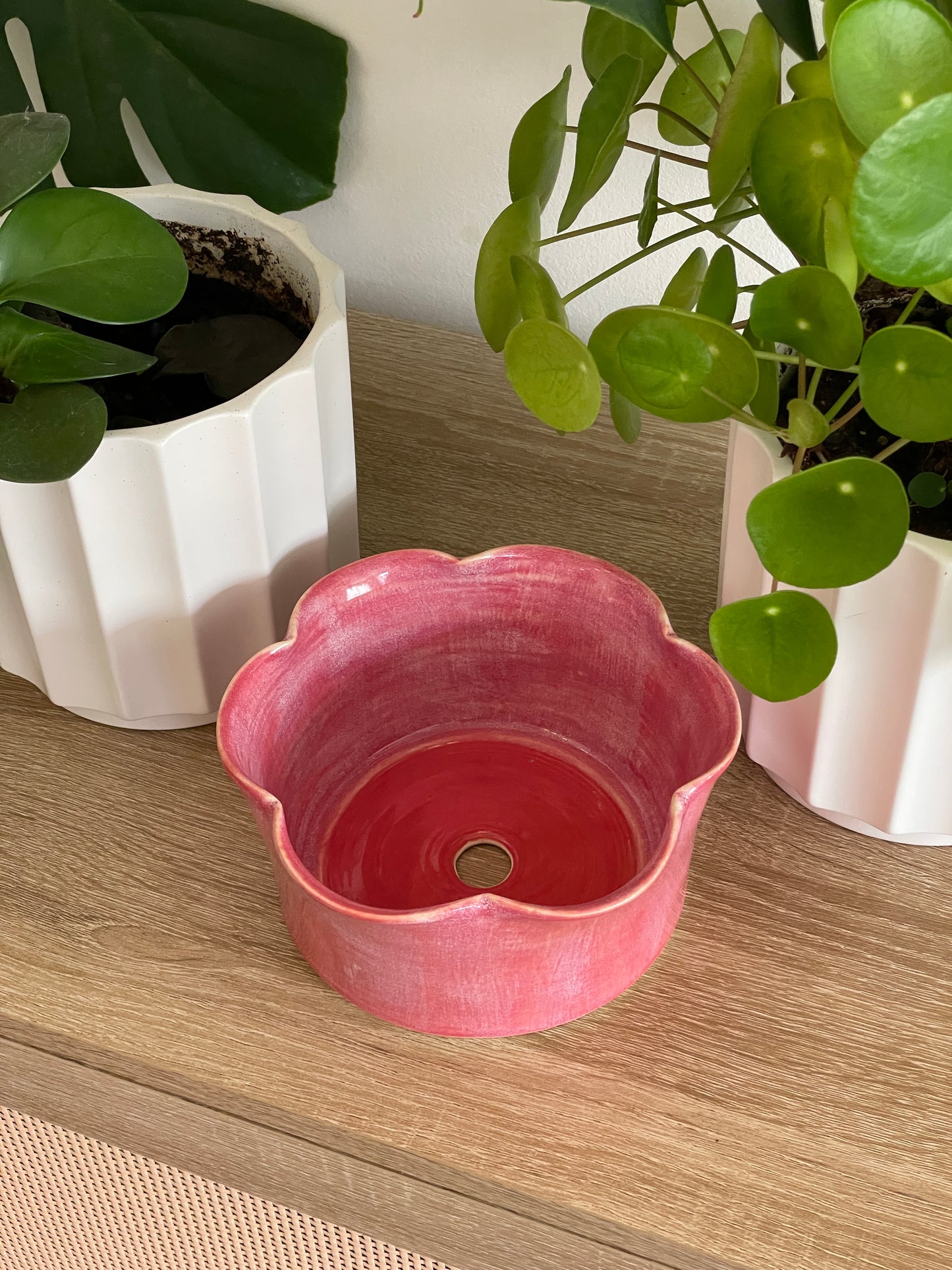 Raspberry Ruffle Planter
