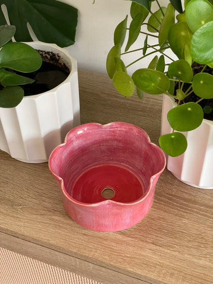 Raspberry Ruffle Planter