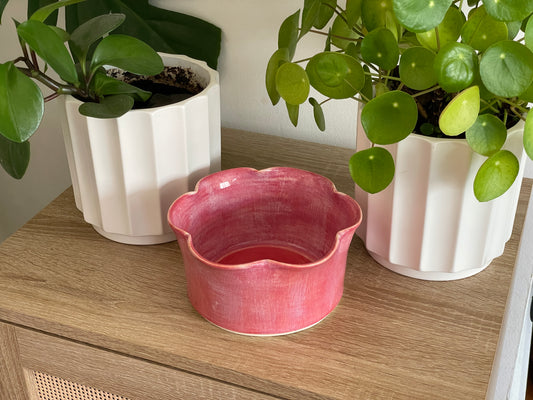 Raspberry Ruffle Planter